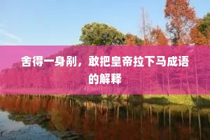 舍得一身剐，敢把皇帝拉下马成语的解释