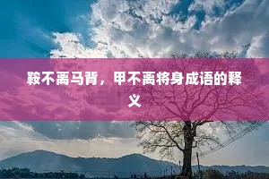 鞍不离马背，甲不离将身成语的释义