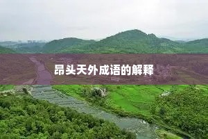 昂头天外成语的解释
