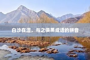白沙在涅，与之俱黑成语的拼音