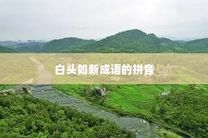 白头如新成语的拼音