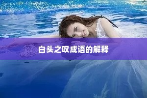 白头之叹成语的解释