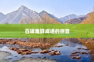 百喙难辞成语的拼音
