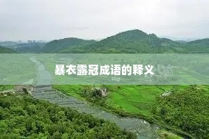 暴衣露冠成语的释义