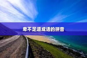 卑不足道成语的拼音
