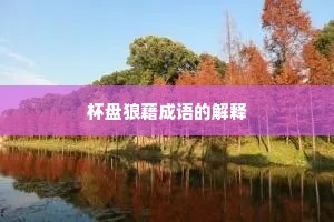 杯盘狼藉成语的解释