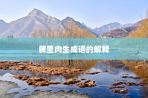 髀里肉生成语的解释