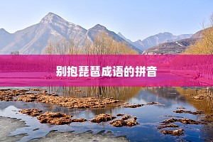 别抱琵琶成语的拼音