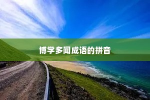博学多闻成语的拼音