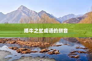 搏牛之虻成语的拼音
