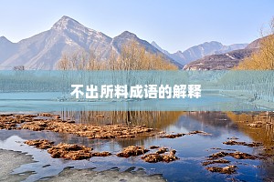 不出所料成语的解释