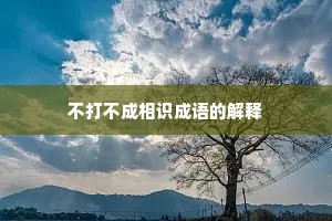 不打不成相识成语的解释