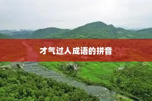 才气过人成语的拼音