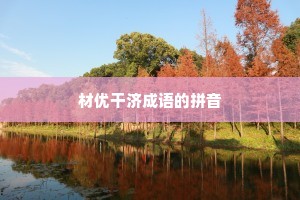 材优干济成语的拼音