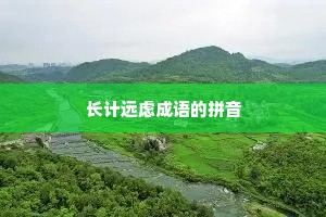 长计远虑成语的拼音