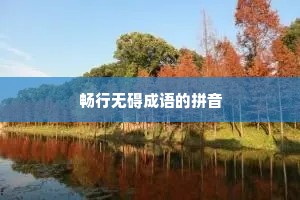 畅行无碍成语的拼音