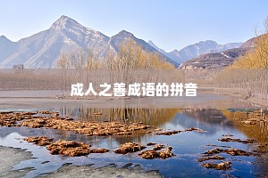 成人之善成语的拼音