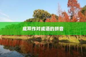 成双作对成语的拼音