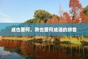 成也萧何，败也萧何成语的拼音