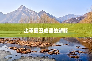出乖露丑成语的解释