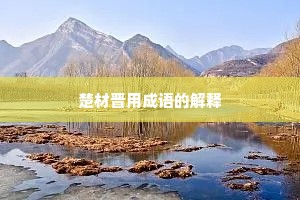 楚材晋用成语的解释