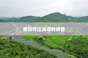 楚囚对泣成语的拼音