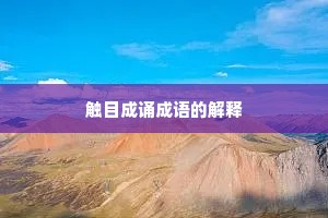 触目成诵成语的解释