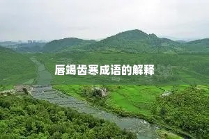 唇竭齿寒成语的解释