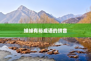 绰绰有裕成语的拼音
