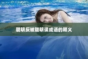 聪明反被聪明误成语的释义