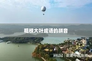 粗枝大叶成语的拼音