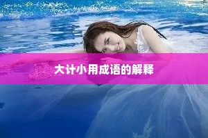大计小用成语的解释