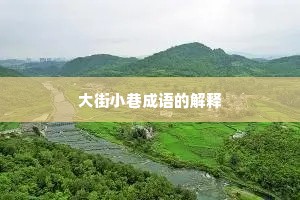 大街小巷成语的解释 大街小巷成语的解释