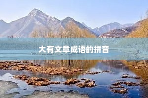 大有文章成语的拼音