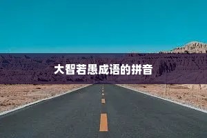 大智若愚成语的拼音