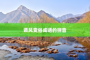 调风变俗成语的拼音