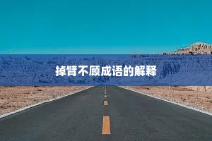 掉臂不顾成语的解释