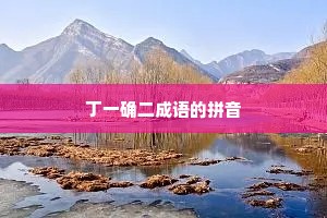 丁一确二成语的拼音
