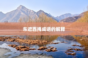 东遮西掩成语的解释