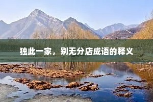 独此一家，别无分店成语的释义