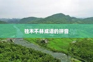 独木不林成语的拼音