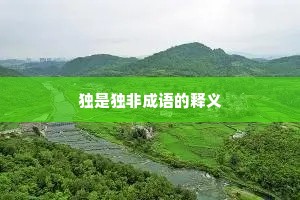 独是独非成语的释义