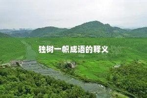 独树一帜成语的释义