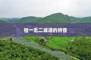 独一无二成语的拼音