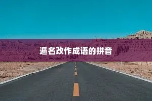 遁名改作成语的拼音