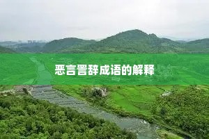 恶言詈辞成语的解释