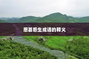 恩甚怨生成语的释义