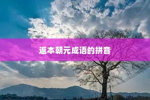 返本朝元成语的拼音