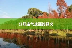 分形连气成语的释义