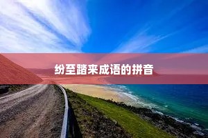 纷至踏来成语的拼音
